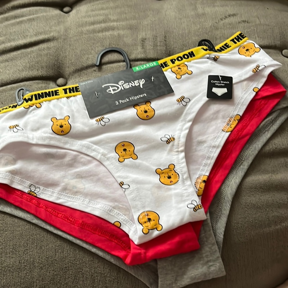 NWT Disney Winnie the Pooh Women’s hipsters size XL